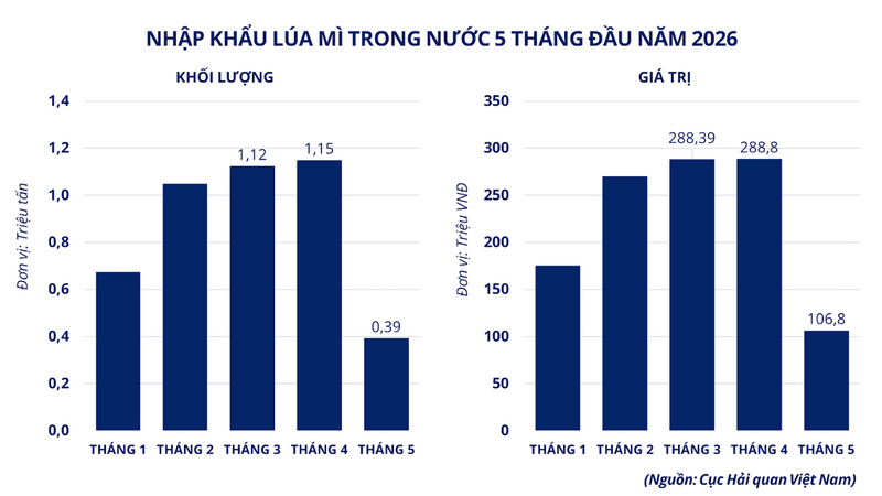 Nhập khẩu lúa mì trong nước 5 tháng đầu năm 2026. Nguồn: MXV