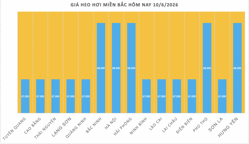 Giá heo hơi hôm nay 10/6/2026: Giảm nhẹ vài nơi - 1