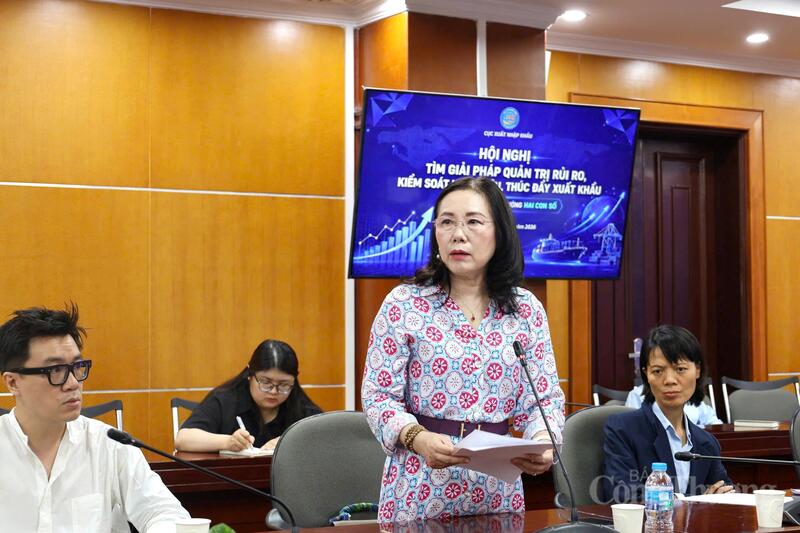 Bà Đỗ Thị Thúy Hương - Phó Chủ tịch kiêm Tổng Thư ký Hiệp hội Doanh nghiệp Điện tử Việt Nam (VEIA) chia sẻ tại hội nghị.