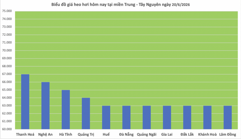 Giá heo hơi hôm nay 20/6/2026: Đi ngang, cao nhất 68.000 đồng/kg - 2