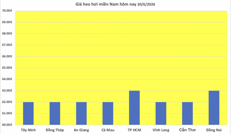 Giá heo hơi hôm nay 20/6/2026: Đi ngang, cao nhất 68.000 đồng/kg - 3