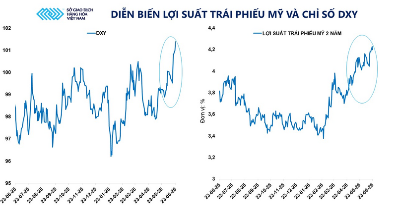Diễn biến lợi suất trái phiếu Mỹ và chỉ số DXY. Nguồn: MXV
