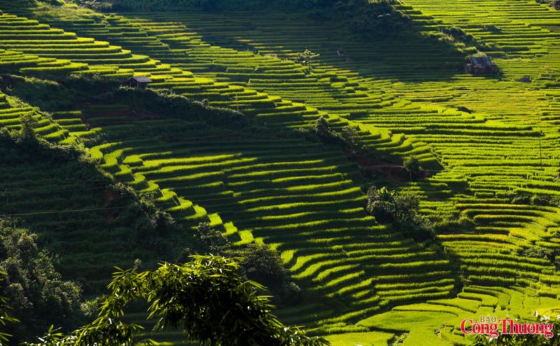 Còn từ dưới chân núi nhìn lên, sắc xanh mướt mát đó tạo nên “những nấc thang lên thiên đường” đẹp ngoạn mục.