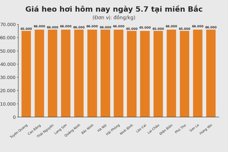 Giá heo hơi hôm nay 5.7 tại khu vực miền Bắc. Đồ hoạ: Sử dụng AI