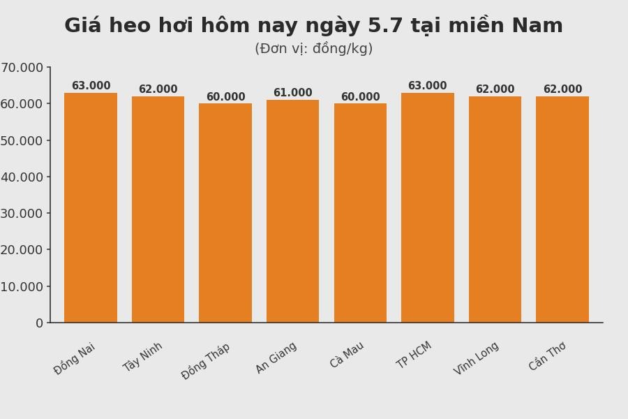 Giá heo hơi hôm nay 5.7 tại khu vực miền Nam. Đồ hoạ: Sử dụng AI