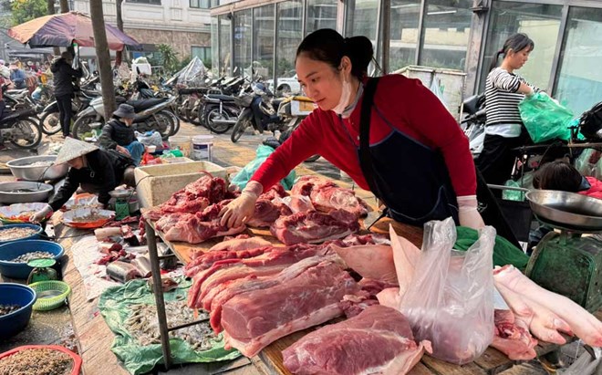 Giá heo hơi hôm nay 5.7: Giữ ổn định, vẫn dao động từ 60.000 - 66.000 đồng/kg