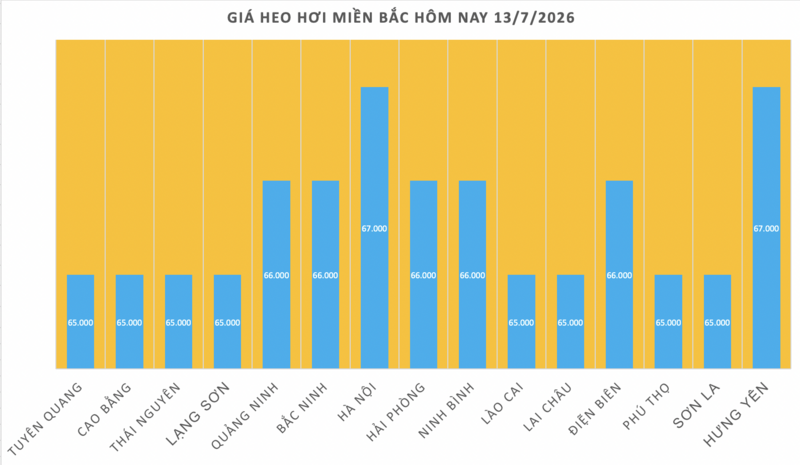 Giá heo hơi hôm nay 13/7/2026: Miền Bắc và miền Trung tăng nhẹ - 1
