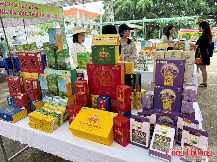 Sản phẩm OCOP Quảng Trị được trưng bày tại chương trình quảng bá sản phẩm địa phương tại phường Đồng Hới.