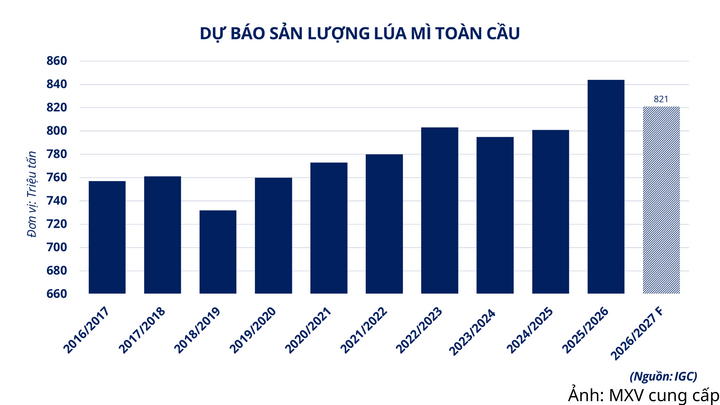 Dự báo sản lượng lúa mì toàn cầu
