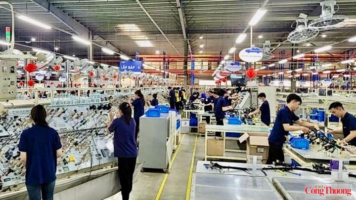 Cộng đồng doanh nghiệp Vĩnh Long ngày càng khẳng định vai trò quan trọng trong phát triển kinh tế - xã hội.