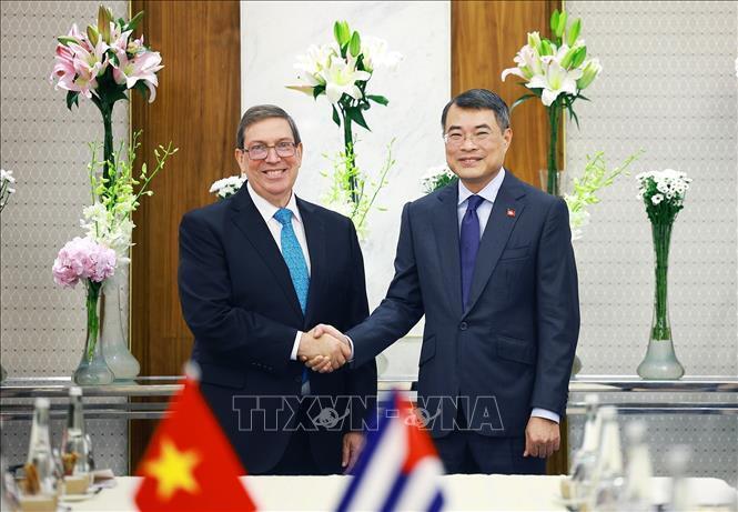 Thủ tướng Lê Minh Hưng tiếp Bộ trưởng Ngoại giao Cuba Bruno Rodríguez Parrilla. Ảnh: Dương Giang/TTXVN