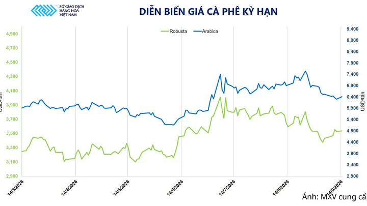 Diễn biến giá cà phê kỳ hạn