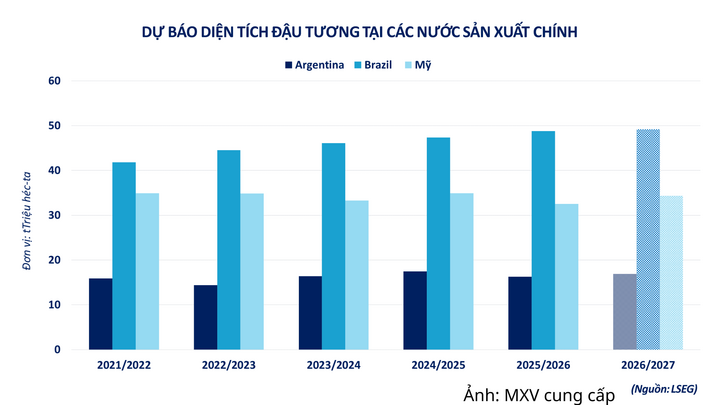 Dự báo diện tích đậu tương tại các nước sản xuất chính.
