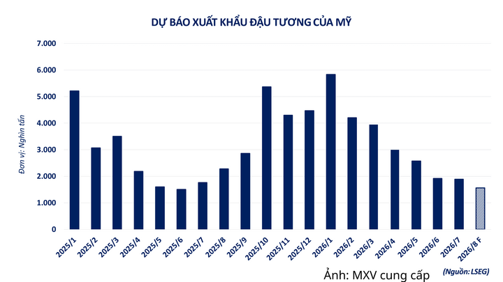 Dự báo xuất khẩu đậu tương Mỹ.