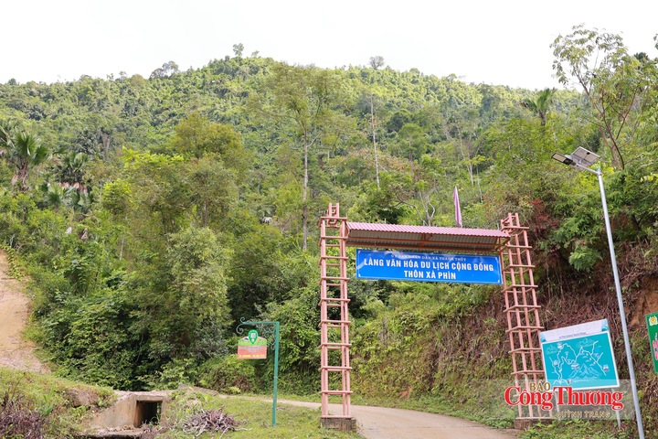 Trên những vùng núi của thôn Xà Phìn, xã Thanh Thủy, tỉnh Tuyên Quang, những cây chè Shan tuyết từ lâu đã gắn với đời sống, sinh kế của đồng bào dân tộc thiểu số