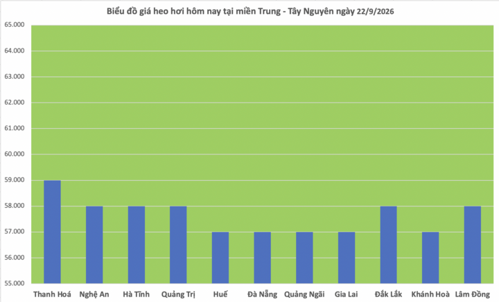 Giá heo hơi hôm nay 22/9/2026: Tăng duy nhất tại Bắc Ninh - 2