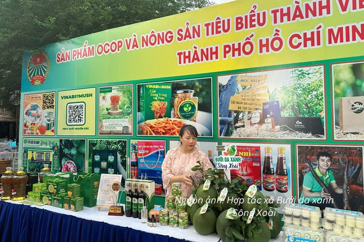 Sản phẩm Hợp tác xã Bưởi da xanh Sông Xoài tham gia chương trình xúc tiến thương mại của TP. Hồ Chí Minh.