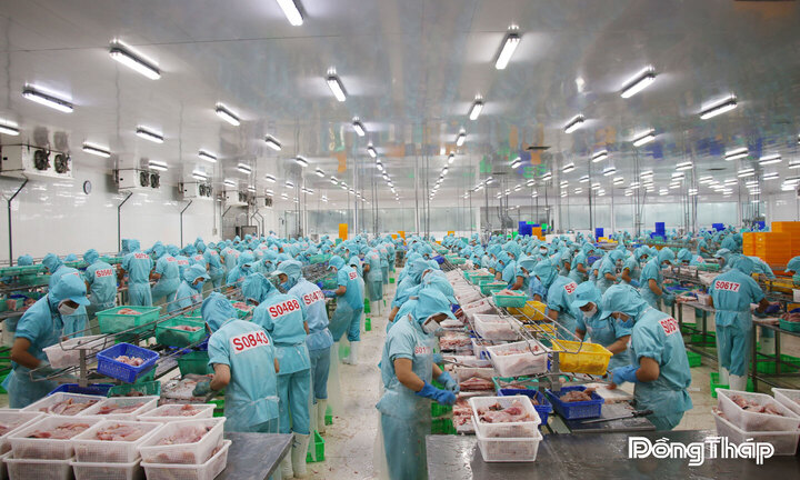 Sản xuất công nghiệp 9 tháng năm 2026 của Đồng Tháp tăng 13,02%, trong đó chế biến nông - thủy sản tiếp tục là trụ cột.