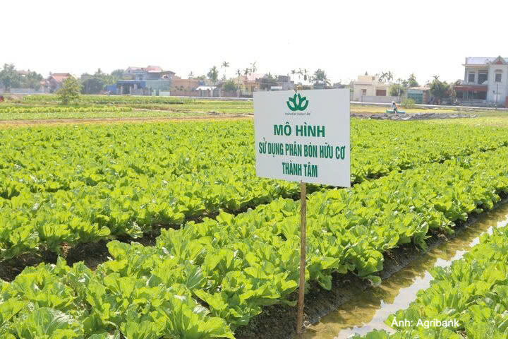 Công ty Phân bón Thành Tâm sử dụng nhà máy sản xuất tại khu vực Bến Cát cũ, cùng nhiều bất động sản khác tại Phú Nhuận và Long Bình làm tài sản bảo đảm.