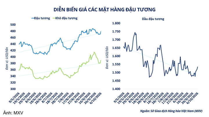 Diễn biến giá nhóm họ đậu