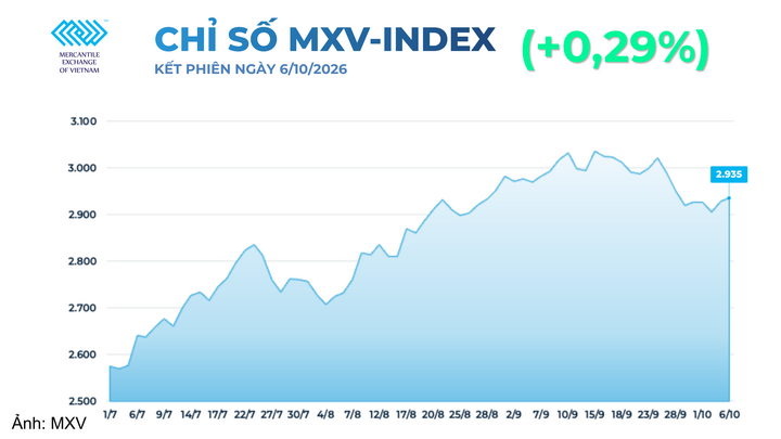 Chỉ số MXV-index