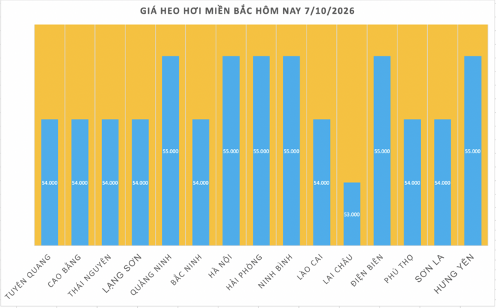 Giá heo hơi hôm nay 7/10/2026: Nối đà giảm đồng loạt trên cả nước - 1