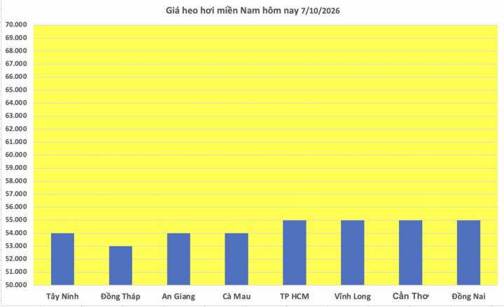 Giá heo hơi hôm nay 7/10/2026: Nối đà giảm đồng loạt trên cả nước - 3