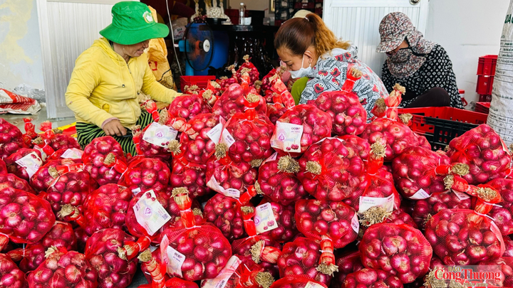 Hành tím là cây trồng đặc trưng, gắn với sinh kế và là nguồn thu nhập quan trọng của hàng nghìn hộ dân.