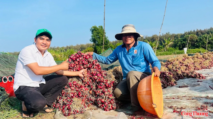 Hợp tác xã Hành tím Vĩnh Châu từng bước mở rộng thị trường, hướng đến Nhật Bản và các thành phố lớn trong nước, đồng thời ký hợp đồng bao tiêu sản phẩm.