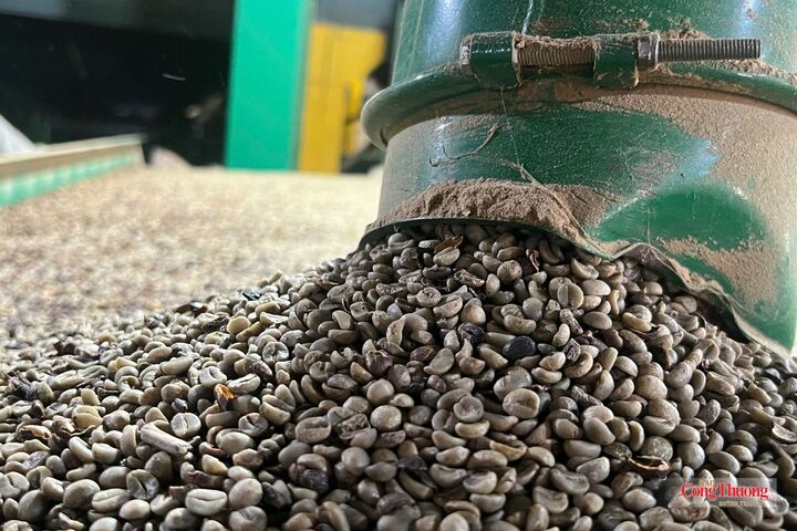 Một góc xưởng sản xuất, chế biến cà phê của Công ty TNHH Sản xuất và Thương mại Cát Quế,