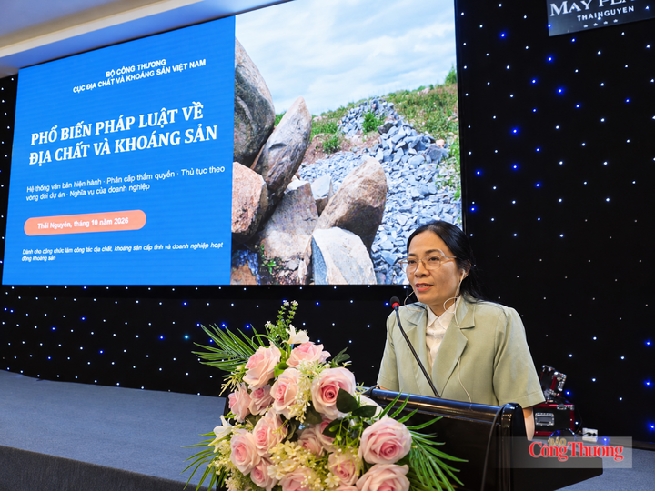 Bà Phạm Thị Thanh, Phó Trưởng phòng Pháp chế, Kiểm tra, Cục Địa chất và Khoáng sản Việt Nam phát biểu tại Hội nghị. Ảnh: Minh Đức
