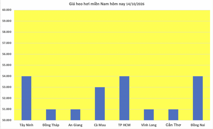 Giá heo hơi miền Nam hôm nay 14/10/2026