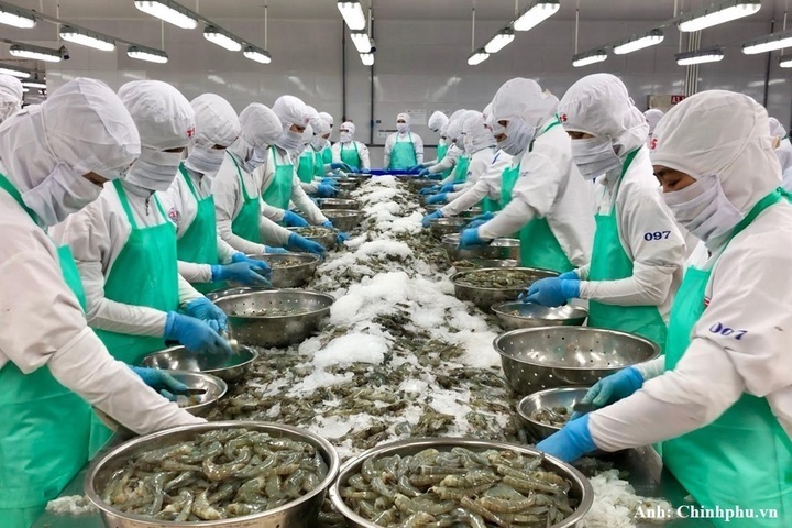 Vietnam Seafood Summit 2026 - VSS 2026 tạo ra cơ hội để doanh nghiệp trao đổi kinh nghiệm, chia sẻ góc nhìn, kết nối đối tác và tìm kiếm cơ hội hợp tác mới.