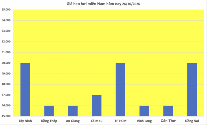 Giá heo hơi hôm nay 26/10/2026: Giảm rải rác tại miền Bắc - 3