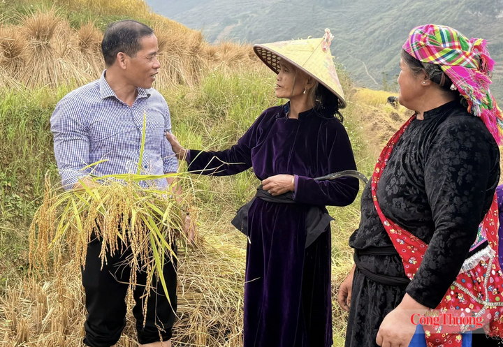 Ông Dương Ngọc Đức, Bí thư Đảng ủy, Chủ tịch HĐND xã Lũng Cú chia sẻ và khẳng định, xã luôn đồng hành, hỗ trợ bà con trong kết nối, tiêu thụ các giống lúa đặc sản. Ảnh: Ngọc Đức