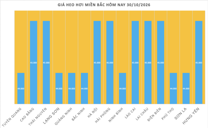 Giá heo hơi hôm nay 30/10/2026: Giảm liên tiếp, cao nhất 46.000 đồng - 1