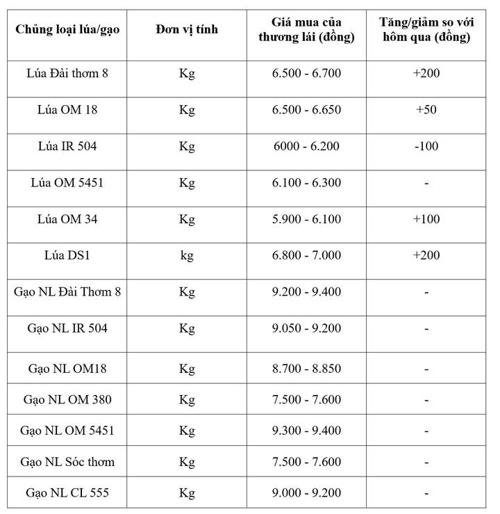 Bảng giá mang tính tham khảo.